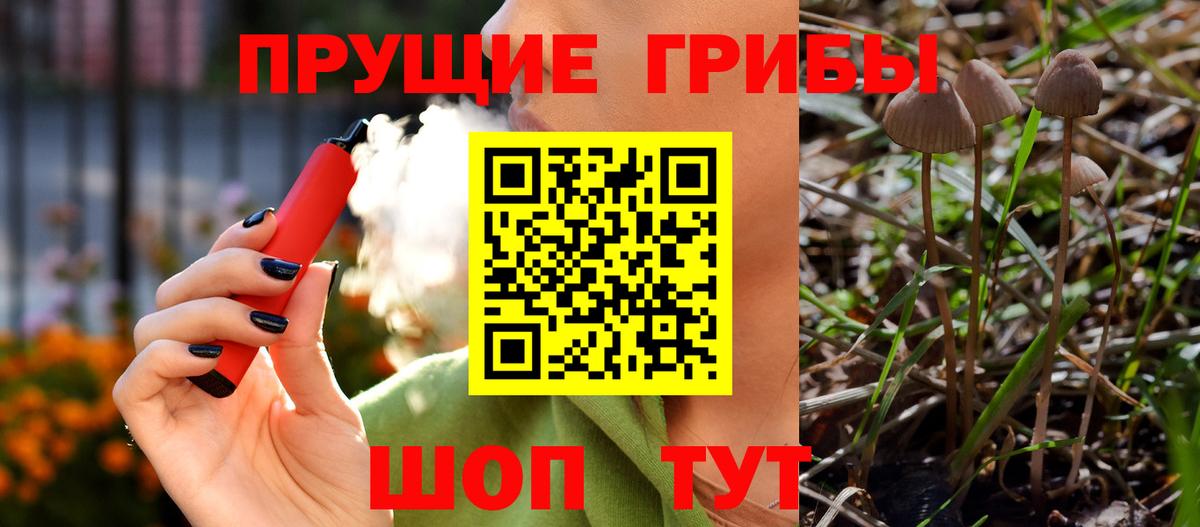 где найти наркотики  Вход с VPN  Советский  Галлюциногенные грибы Psilocybine cubensis 