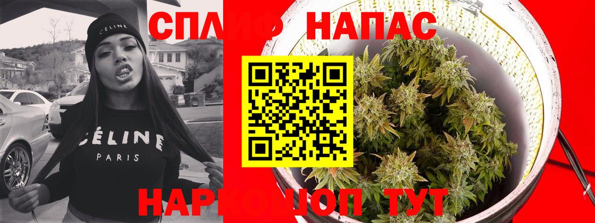 МАРИХУАНА семена  Бошки марихуана ГИДРОПОН  Марихуана планчик  Советский  Вход с VPN 
